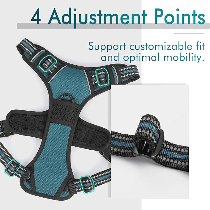 rabbitgoo Dog Harness No Pull - Image 2