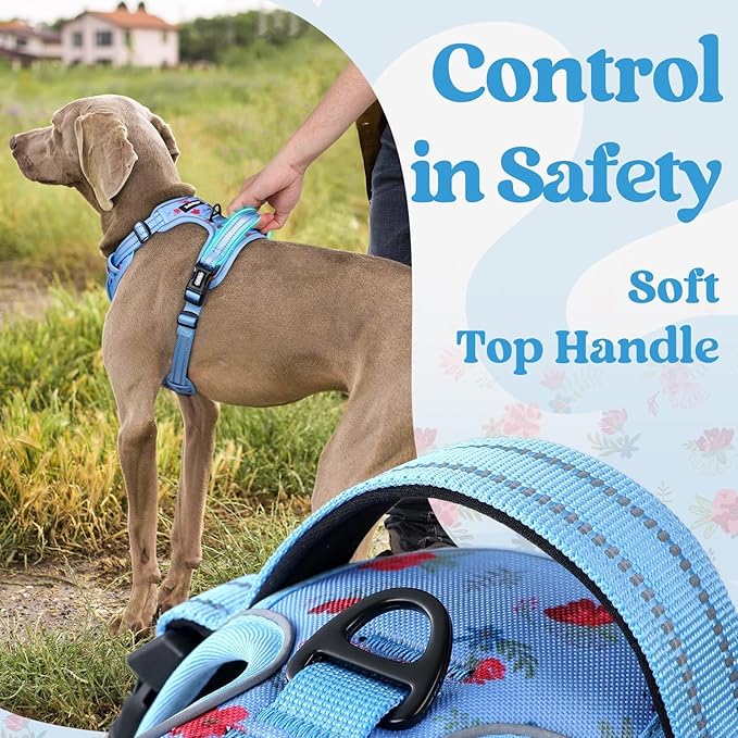rabbitgoo Dog Harness for Large, No Pull Easy On & Off - Image 5