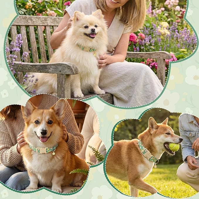 Dog Collar with Floral Patterns, Spring Summer Collection Green Dog Collar with - Image 5