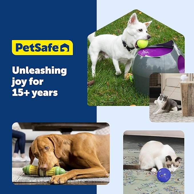 PetSafe Busy Buddy Bouncy Bone, Treat Holding Dog Toy - Image 7