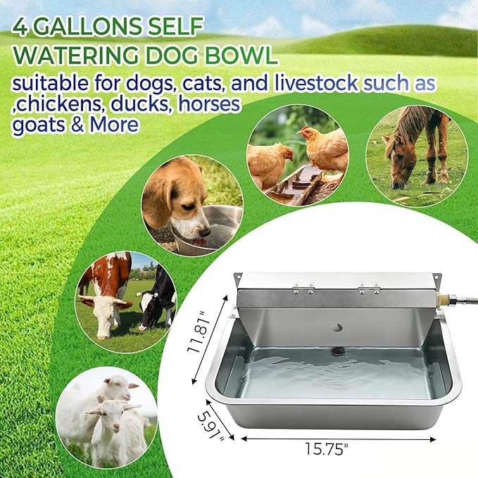 Automatic Dog Water Dispenser - Image 4