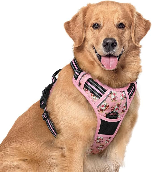 rabbitgoo Dog Harness No Pull by rabbitgoo