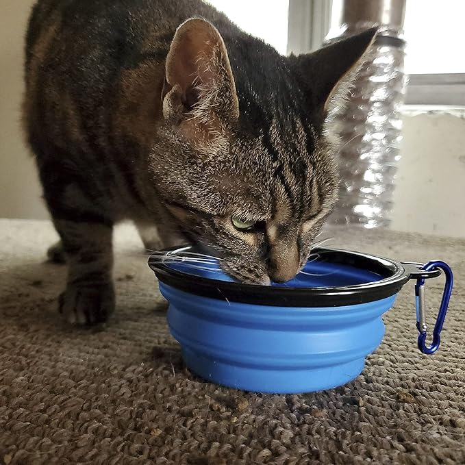 Pet Emergency Kit for Cats - Image 6