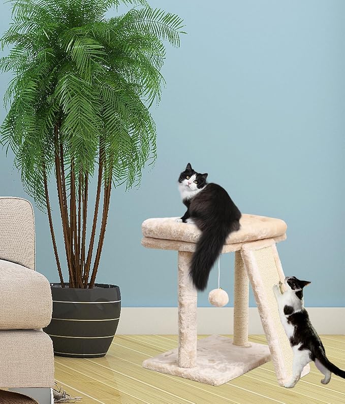 SYANDLVY Small Cat Tree with Scratching Post, Cat Scratching Board with Perch - Image 7