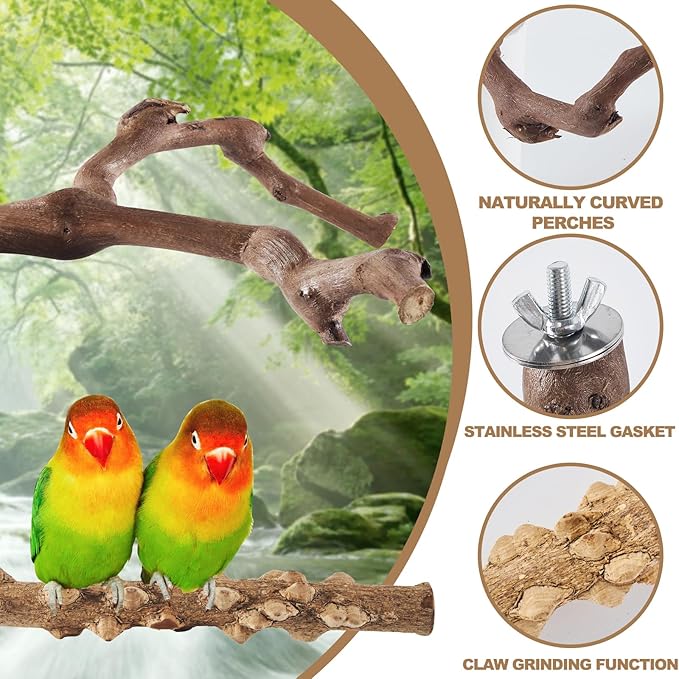 LIMIO 6-Piece Bird Perch Set - Image 3