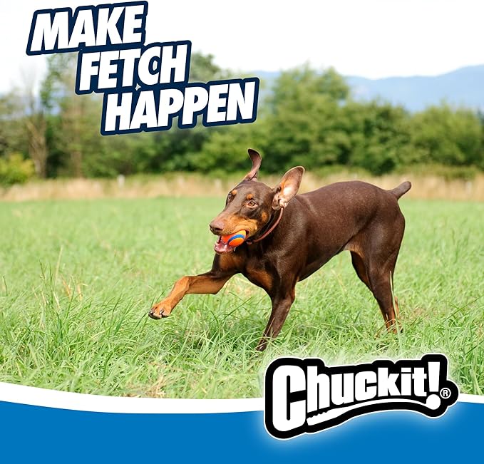 Chuckit! Ultra Ball Dog Toy - Image 6