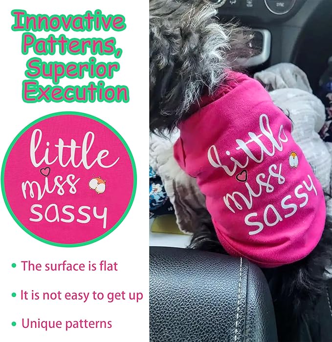 Paiaite Dog Clothes Fashionable Sleeveless Pet Vest: 'Little Miss Sassy' - Image 5