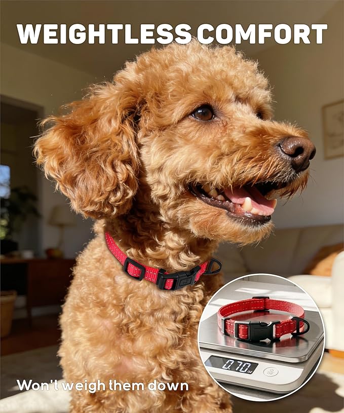 TagME Reflective Nylon Dog Collars, Adjustable Classic Pet Collar - Image 3