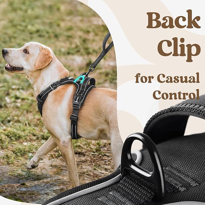 rabbitgoo Dog Harness Small Sized, No Pull Pet Harness - Image 6