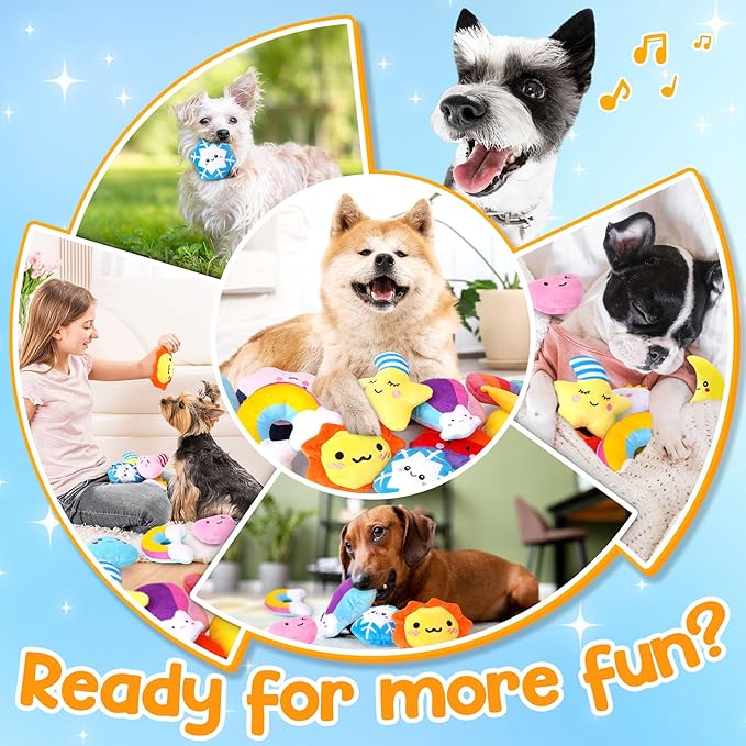 Irresistible Weather-Themed 20-Pack Squeaky Dog Toys Set - Image 6
