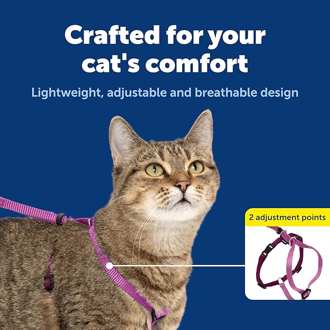 PetSafe Come with Me Kitty Harness and Bungee Leash Adjustable, Lightweight - Image 4