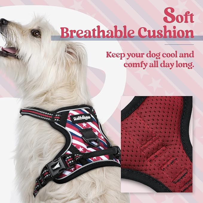 rabbitgoo Dog Harness No Pull - Image 2