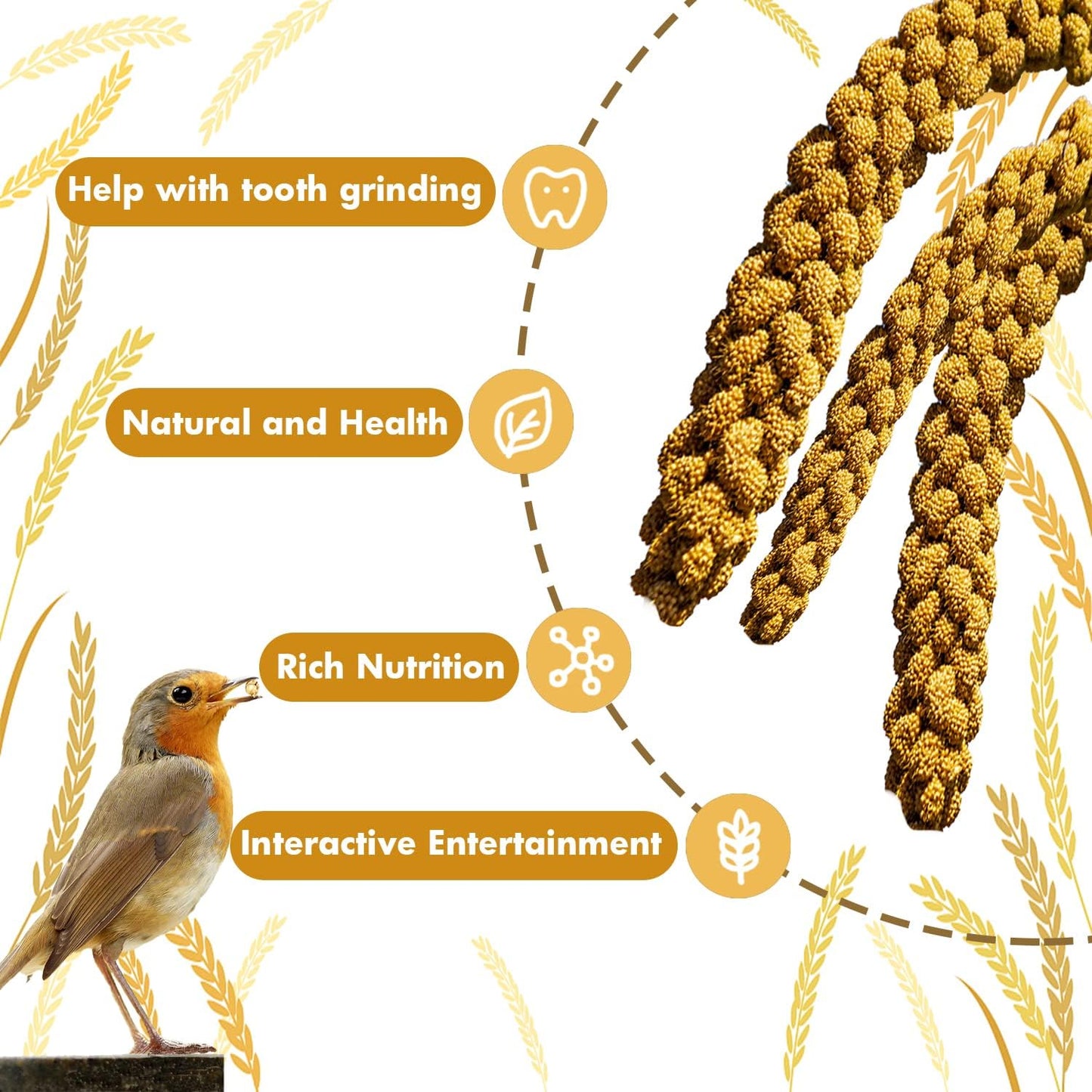 Jmxu's 2LB Spray Millet Treat for Birds Parakeets, Natural Sun-Dried Birds Millet for Cockatiel, Finches, Parrots, Hamster