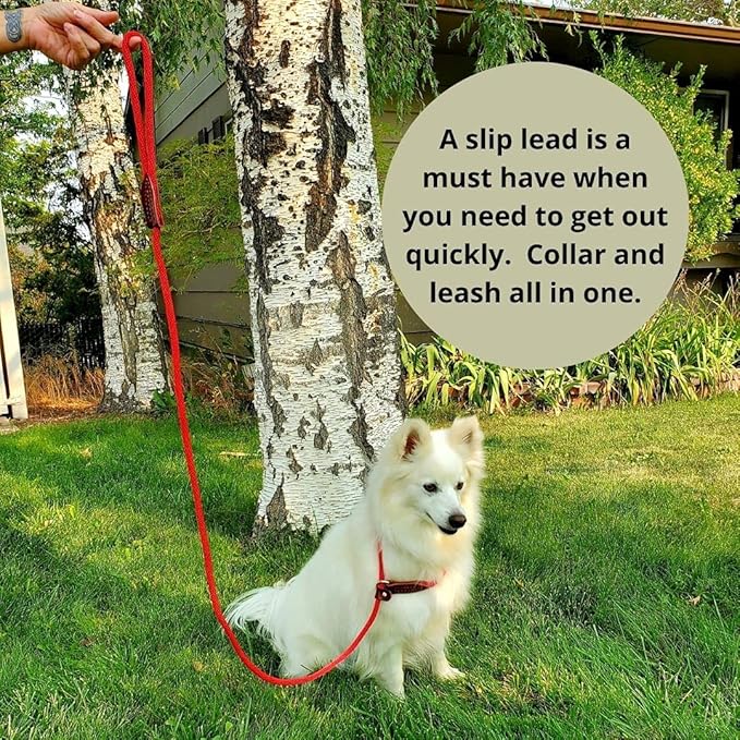 Pet Evac Small/Medium Dog Pak Emergency Kit - Image 5