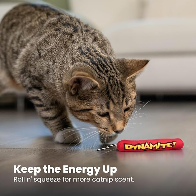 Catstages Green Magic Dynamite Stick Catnip Cat Toy - Image 6