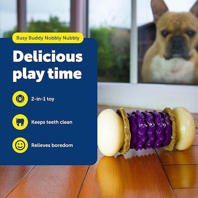 PetSafe Busy Buddy Nobbly Nubbly Treat Holding Dog Toy Strong Chewers Large - Image 2