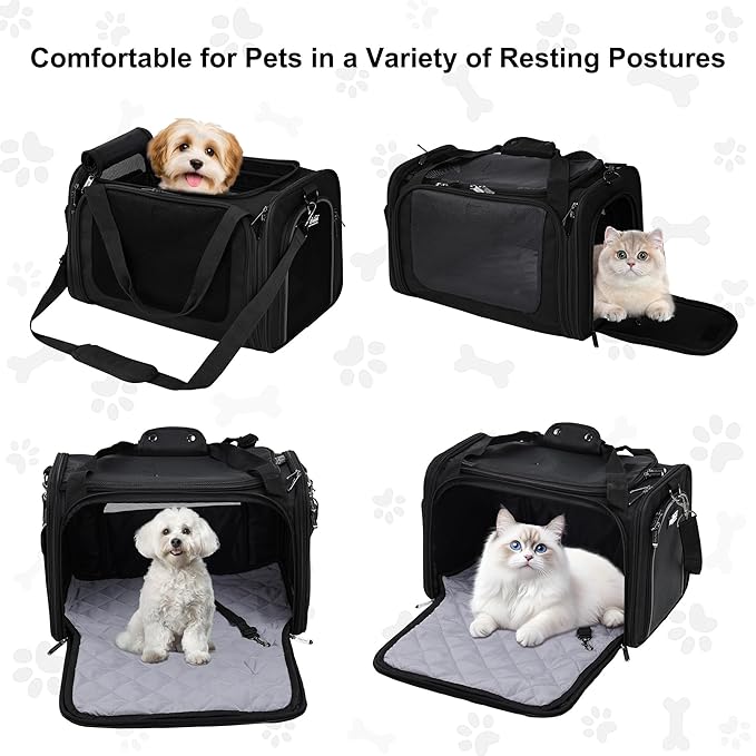 EliteField Deluxe Soft-Sided Pet Carrier, Travel Bag - Image 2