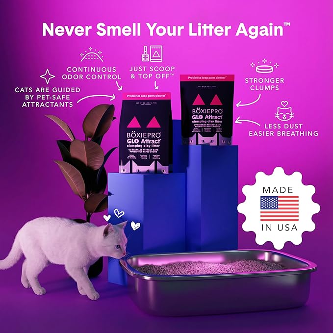 Boxie Glo Clumping Clay 30 Day Odor Control Cat Litter, 99.9% Dust-Free - Image 4