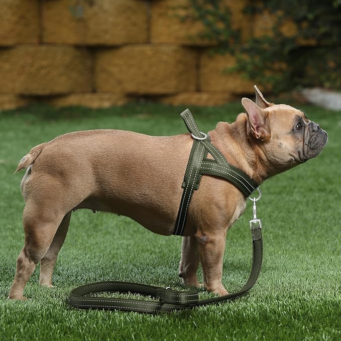 Plutus Pet No Pull Dog Harness - Image 5