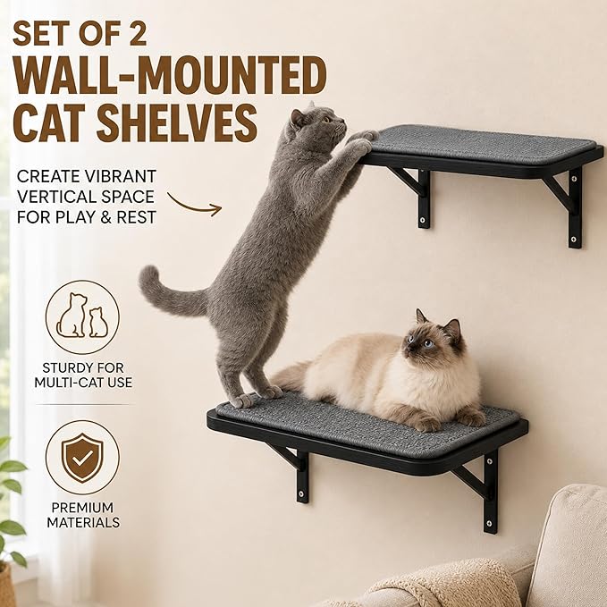 Cat Wall Shelves Set of 2, Wall-Mounted Space-Saving Climbing Bed, Lounging - Image 4