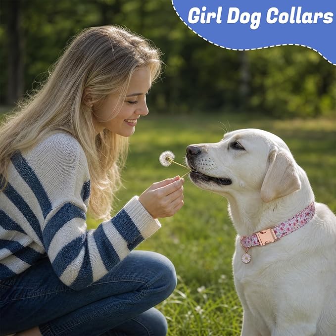 3 Pack Floral Dog Collars for Medium Dogs Flower Dog Collars - Image 7