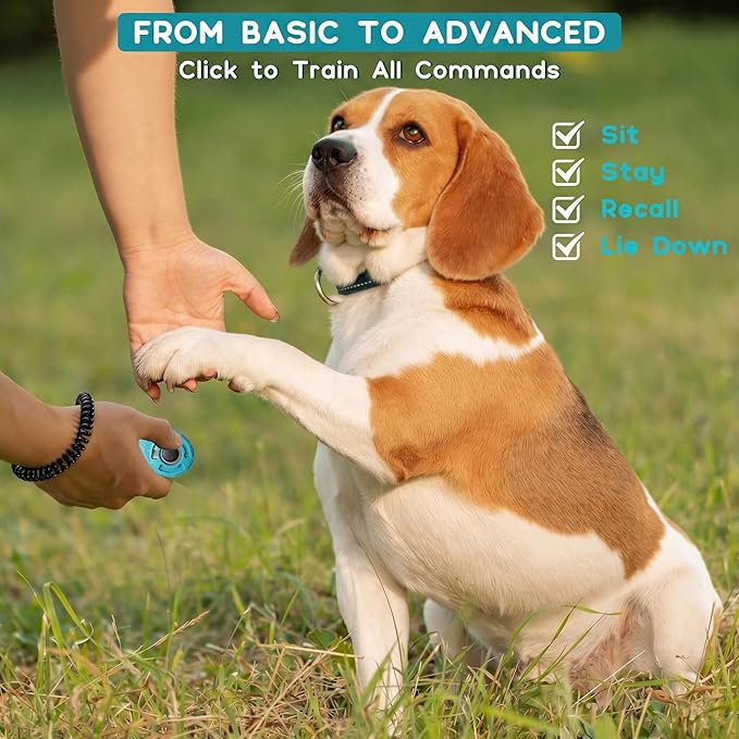 Dog Training Clicker with Sring Wrist and Keyring - Image 5