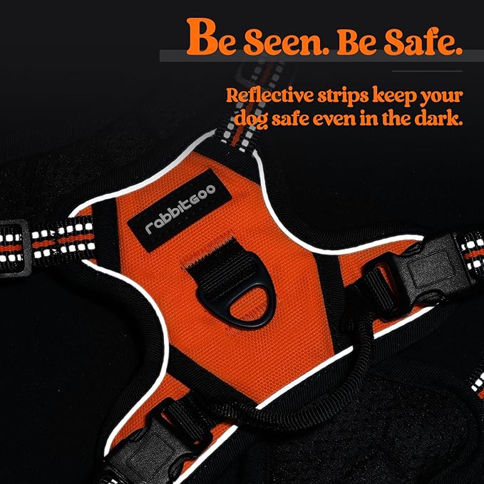 rabbitgoo Dog Harness No Pull - Image 7