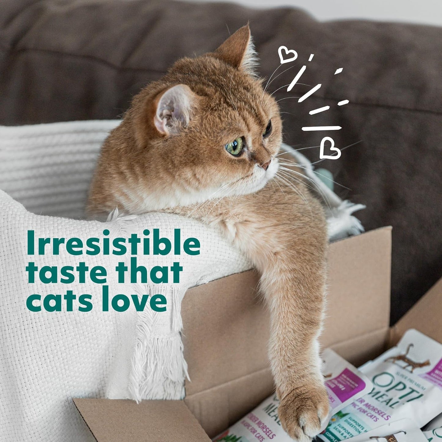 Optimeal Wet Cat Food Variety Pack - Grain Free Tender Morsels, High Protein Premium Nutrition Made with Natural European Ingredients in Savory Gravy, Adult Wet Cat Food Pouches 3oz Pouch (Pack of 12)