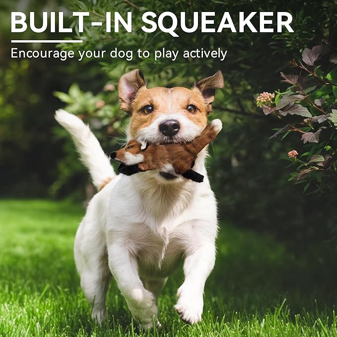 ALL FOR PAWS Squeaky Doy Toy, Fox Dog Toy for Small Medium Breed, Puppy Fetch - Image 3