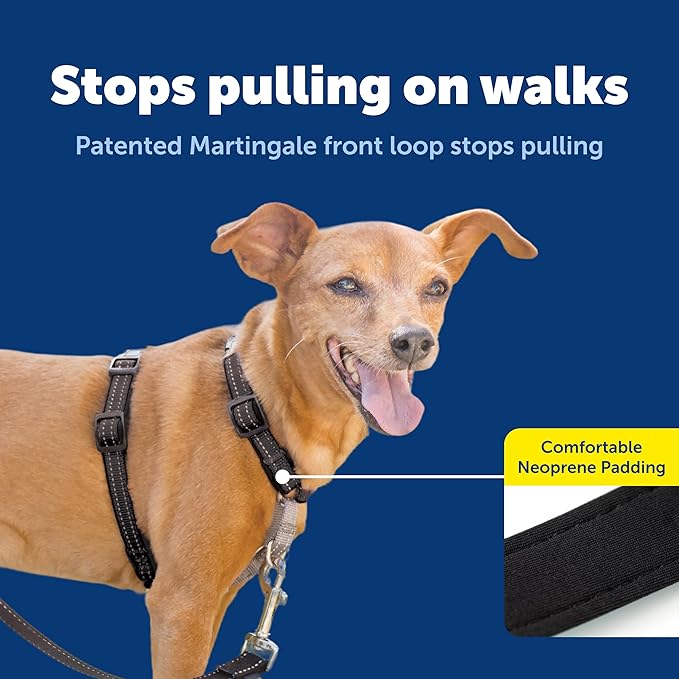 PetSafe 3 in 1 Dog Harness - Image 4
