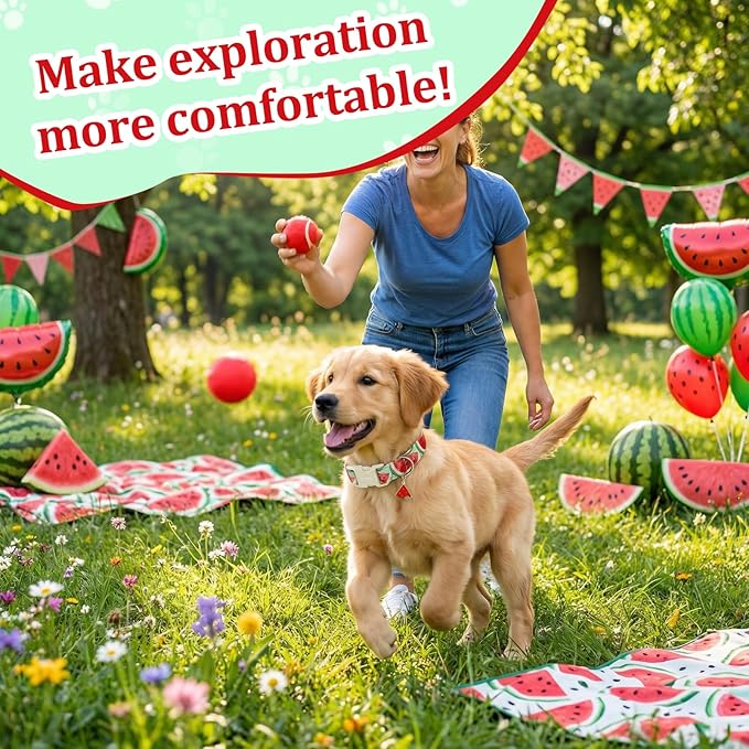 Summer Dog Collar with Watermelon, Adjustable Cotton Puppy Collars - Image 6