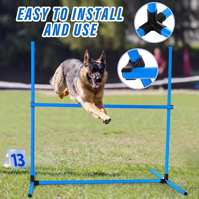 Shappy 4 Pieces Dog Agility Equipment - Image 3