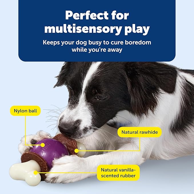 PetSafe Busy Buddy Bouncy Bone, Treat Holding Dog Toy - Image 4
