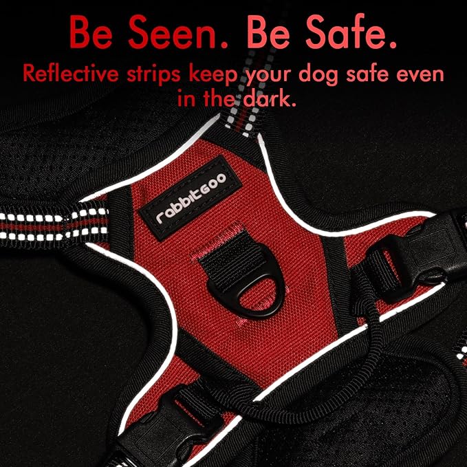 rabbitgoo Dog Harness No Pull - Image 7