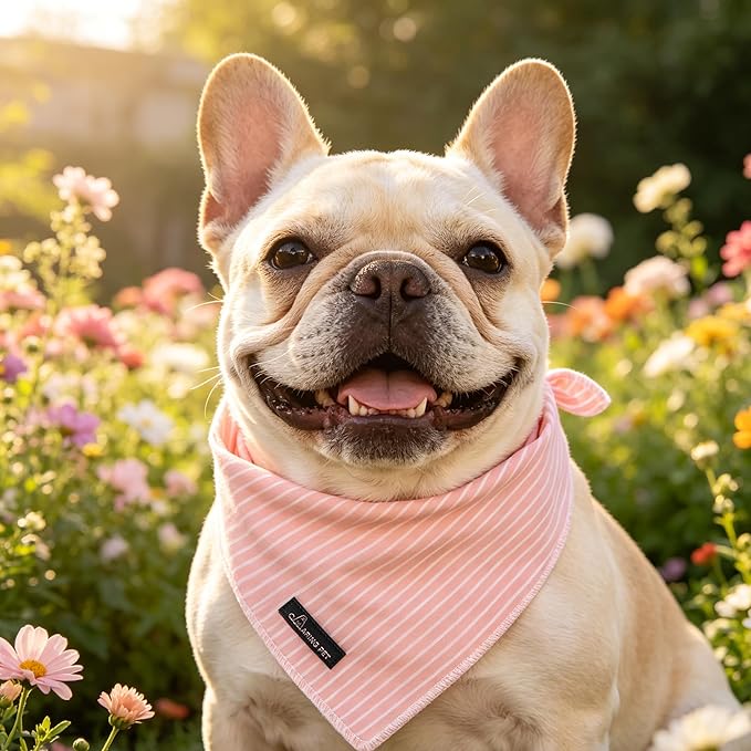 ARING PET Summer Dog Bandana-Cute Pink Dog Bandanas, Comfortable Pet Scarf Dogs - Image 5
