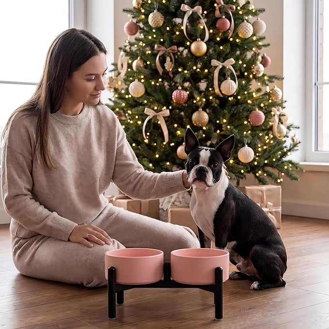 Raised Ceramic Dog Bowl Set - Image 9