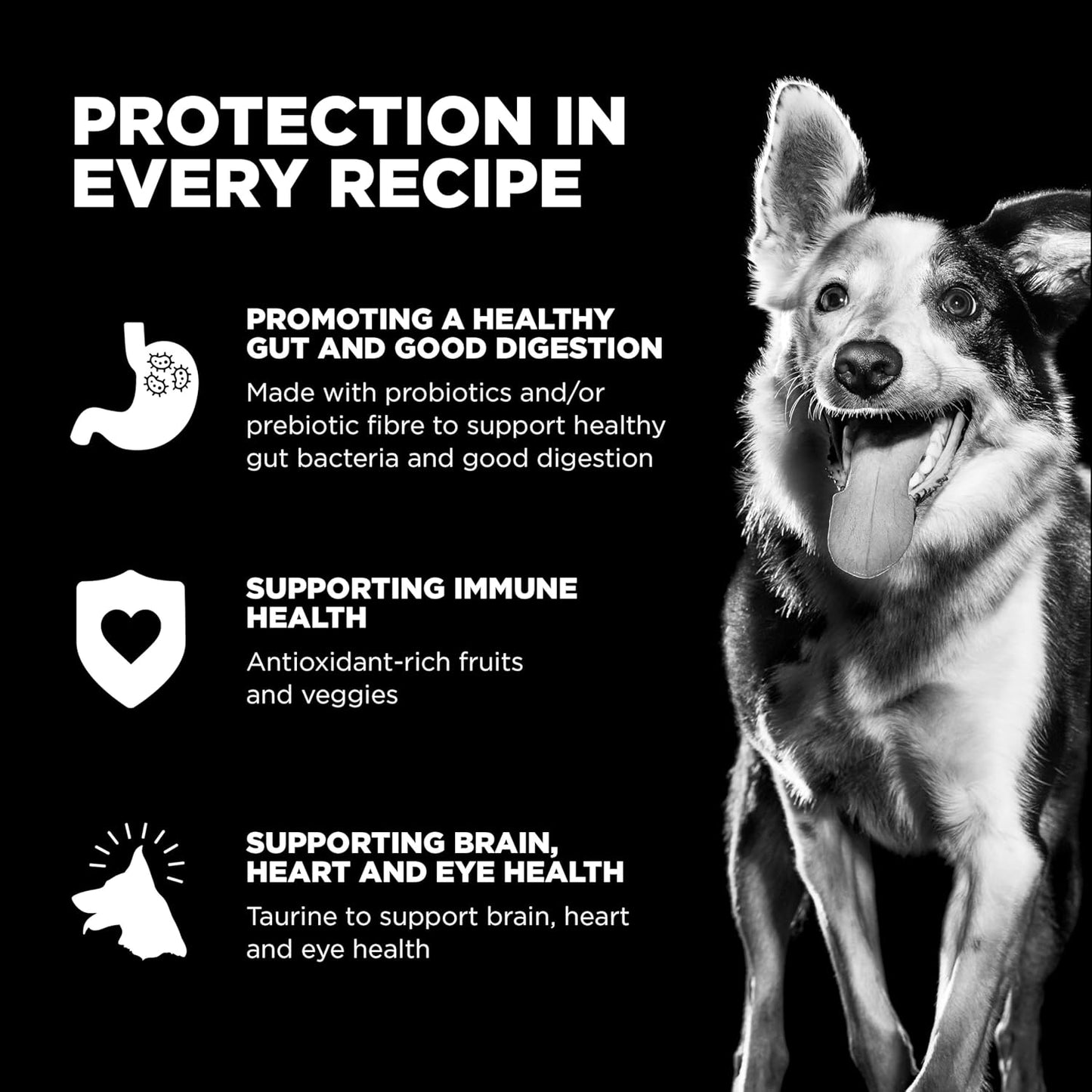 Go! Solutions Sensitivities Limited Ingredients, Grain-Free Dry Dog Food, Duck Recipe for Sensitive Stomach, 22 lb Bag