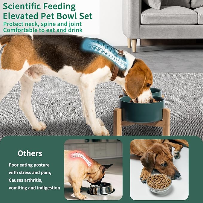 Elevated Ceramic Dog Bowl Set - Image 4