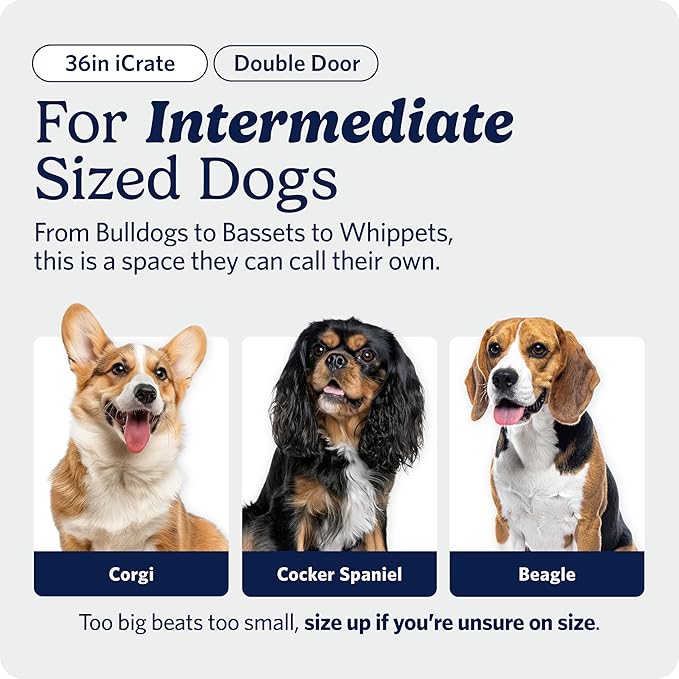 MidWest Homes for Pets 36-Inch iCrate for Medium-Large Breeds, 41-70 lbs - Image 2