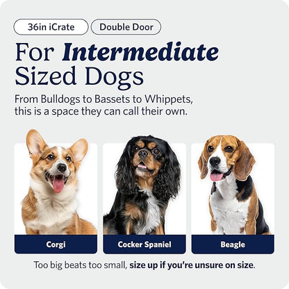 MidWest Homes for Pets 36-Inch iCrate for Medium-Large Breeds, 41-70 lbs - Image 2