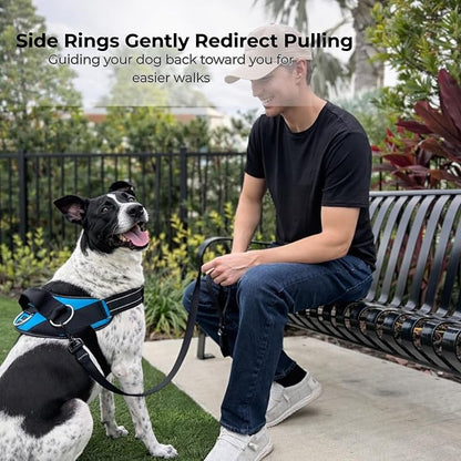ShawnCo Essential Dog Harness, No-Pull Pet Vest - Image 3