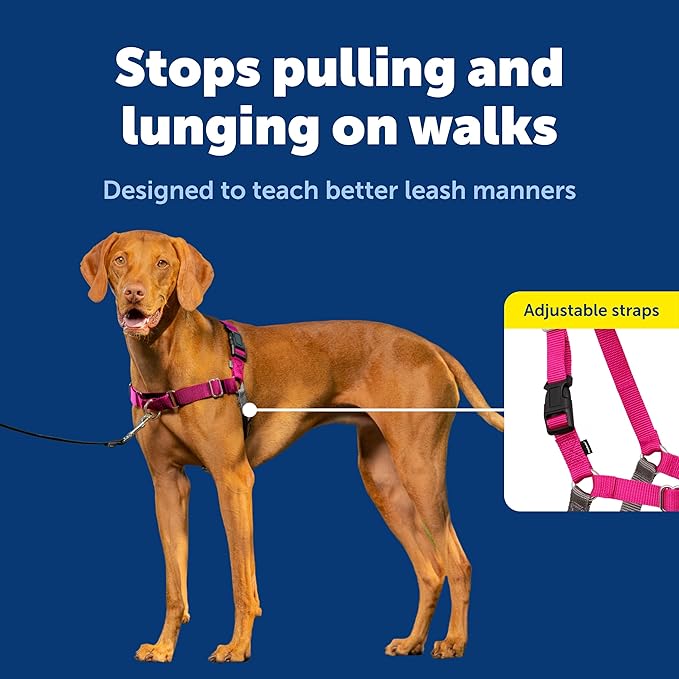 PetSafe Easy Walk No-Pull Dog Harness - Image 3