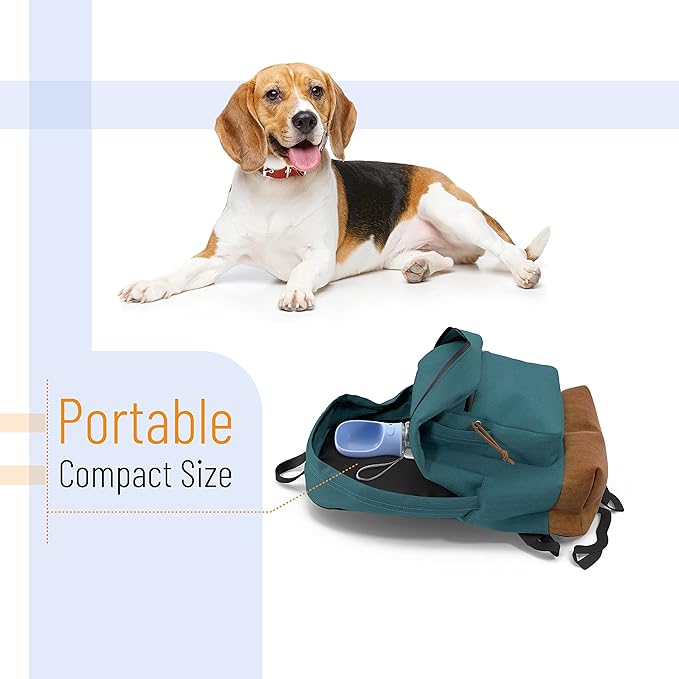 Mr. Pen- Portable Dog Water Bottle, 19 oz, Leak Proof Puppy Water Dispenser - Image 6