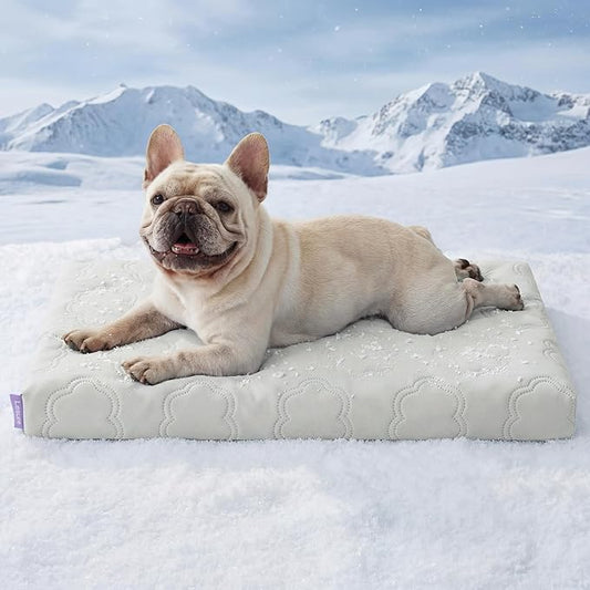 LE SURE Cooling Dog Bed Medium Size Dog, Q-Max>0.5 Cooling Mat by Lesure