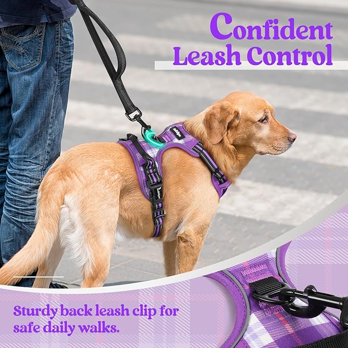 rabbitgoo Dog Harness No Pull - Image 6