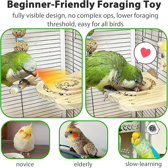 Bird Foraging Toys with Perch, Kiln-Dried Wood Bird Enrichment Toys - Image 4