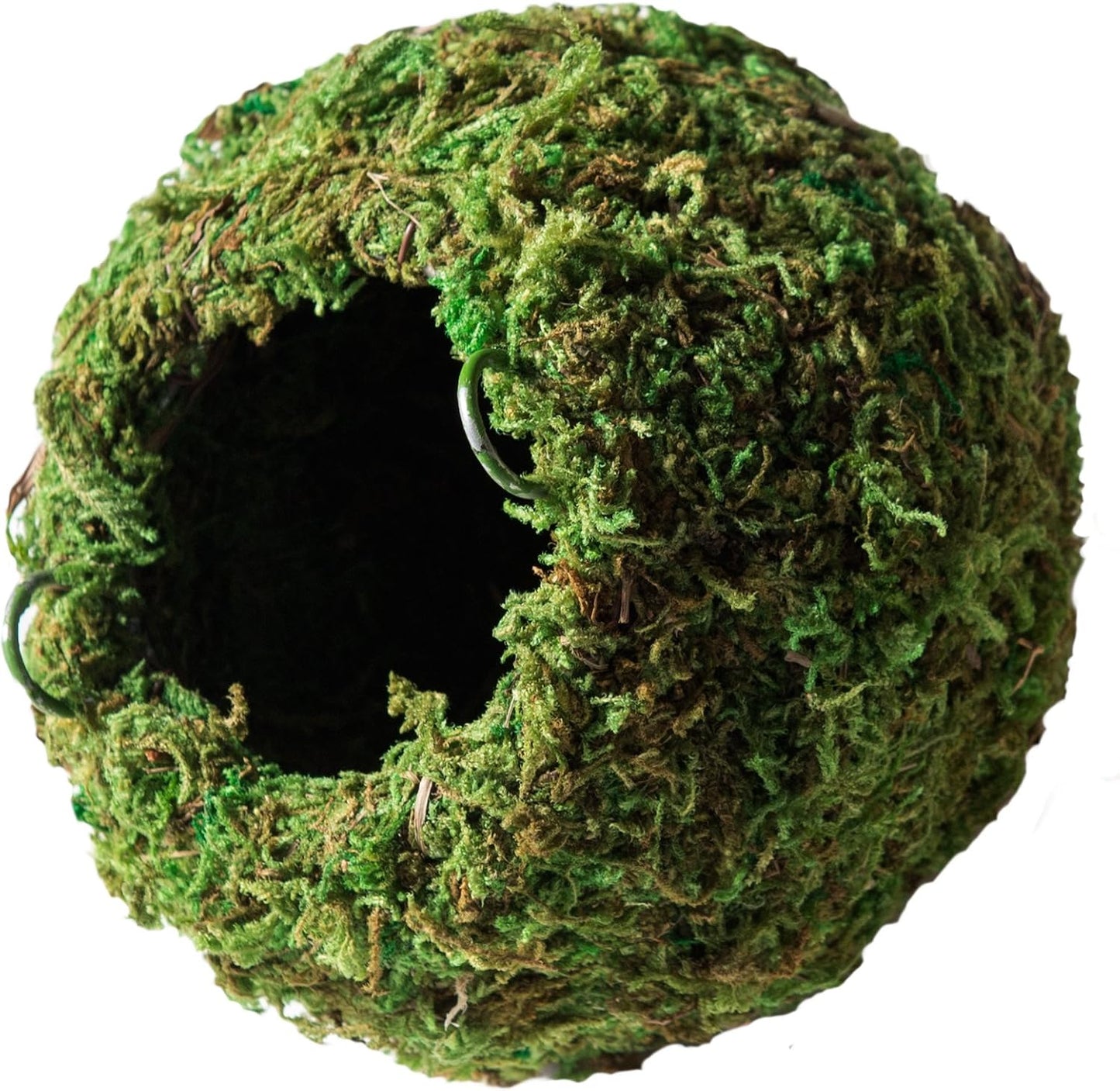 Galápagos (05348) Mossy Cave Hide, 6", Green Sphagnum