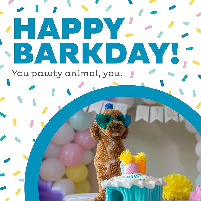 Outward Hound Hide-A-Birthday-Cake Dog Toy – Interactive 2‑in‑1 Plush Puzzle - Image 2