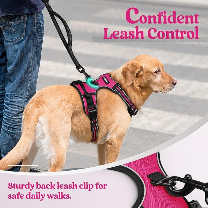 rabbitgoo Dog Harness No Pull - Image 6