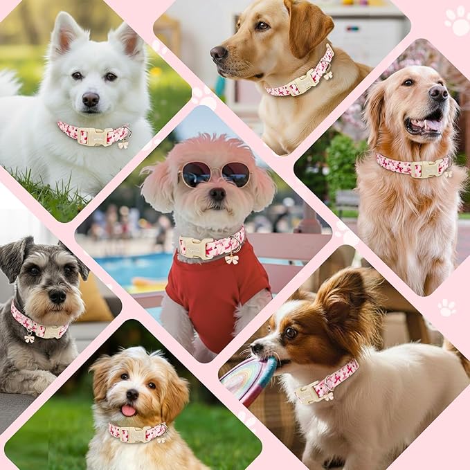 Adjustable Girl Dog Collars - Image 6